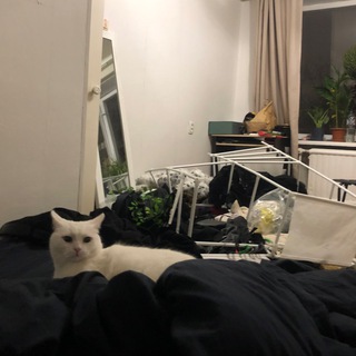 Логотип @isakovskymark - тот самый Марк Исаковский