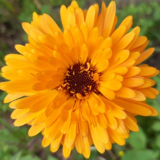 Логотип @iscelenie_zhizni - Исцеление жизни