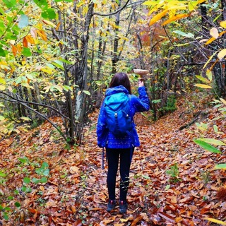 Логотип @isentieridiariannaeventi - I Sentieri di Arianna 🐾 SOLO EVENTI