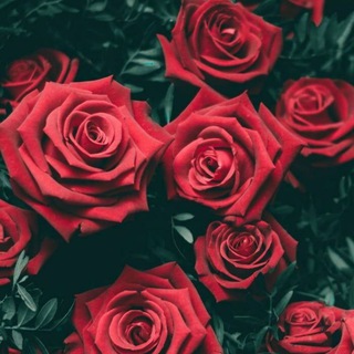 Логотип @ishon_tomom - 💫DÖSTLAR DAVRASIDA💫