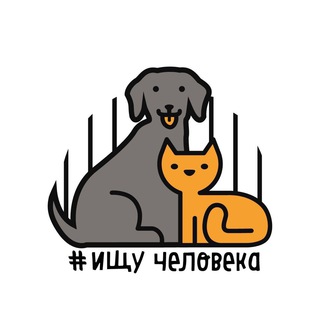 Логотип @ishucheloveka - БФ «Ищу человека»
