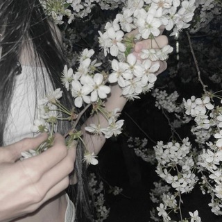 Логотип @isisioeoeoe - темы от нессы