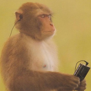 Логотип @iskrenochkkajizn - ISKRENOCHKA JIZN