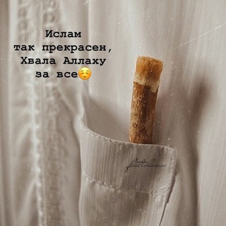 Логотип @islamiyyyyy - Islam 🕊🌿