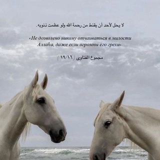 Логотип @islamsahab - Цель- -Довольства Аллаха