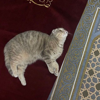 Логотип @islamskie_002 - _islam_sabr_01_🫀