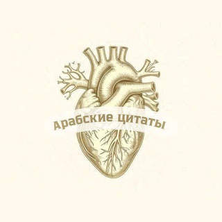 арабские цитаты