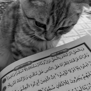 Логотип @islamskiukanal - NASHEED/CHANNEL.