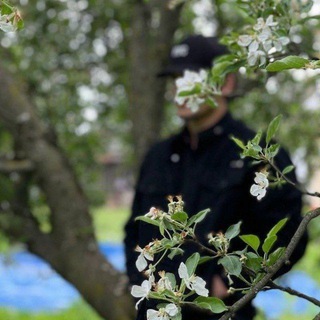 Логотип @islamskiy_nashid - ɪsʟᴀᴍsᴋɪʏ_ɴᴀsʜɪᴅ 🥀