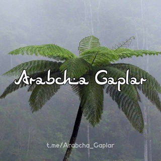 Логотип @islomiy_statuslar_arabcha_gaplar - Arabcha Gaplar 🇸🇦