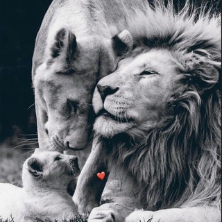 Логотип @ispravsya_1 - ام عبد الجبار