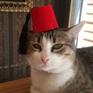 Логотип @istanbulgogogo - Поехали в Стамбул | релокация | переезд