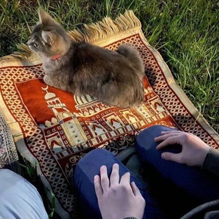 Логотип @istigfor_ayting - Nasheed 🫀🤍