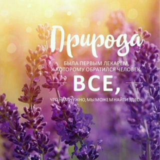 Логотип @istoriidoterra - Правдивые истории о продукции Дотерра