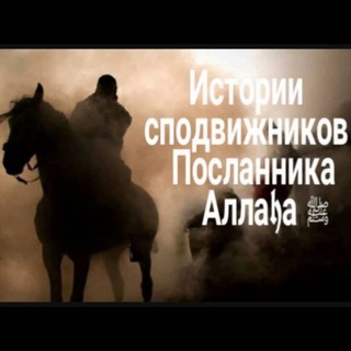 Логотип @istoriispodvignikov - Рассказы из жизни последователей сподвижников