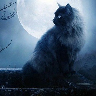 Логотип @istorlljizni - Мистика.Реальные истории.