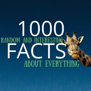 Логотип @it_1000_facts - 1000 Фактов обо всем!