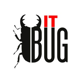 Логотип @itbugchannel - IT Bug (Основные сущности)