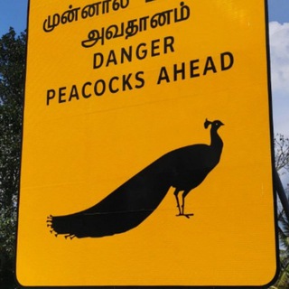 Логотип @itflood - IT flood