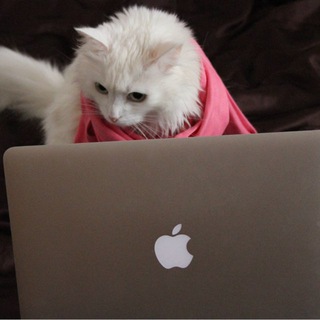 Логотип @ithumorgeek - IT humor 💻