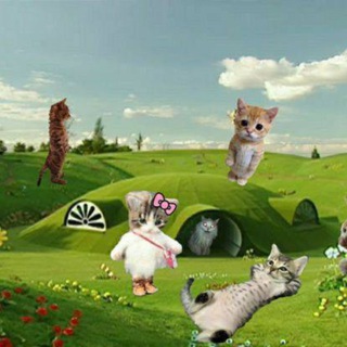 Логотип @itischenkostepan - АйТищенко | ITischenko