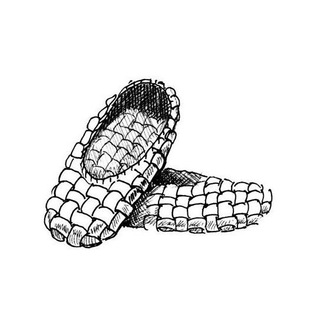 Логотип @itlapti - IT Лапти