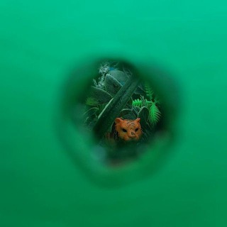 Логотип @itoccurs - Тайны? Странно? ItOccurs