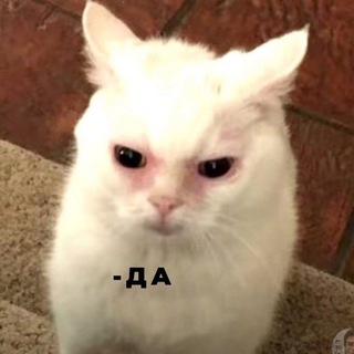 Логотип @itogovoe_sliv - ИТОГОВОЕ СОЧИНЕНИЕ 2022-2023 @botaem_with_lisa