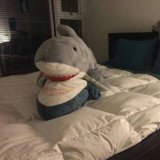 Логотип @itrumfanpro - Продажа и аренда