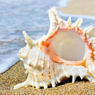 Логотип @itsallnorm - Со мной всё в порядке!