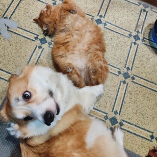 Логотип @itsmaylife - It's May life