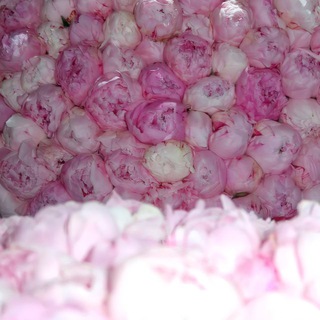 Логотип @itsnodewh - черновик