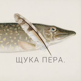 Логотип @itsShchukin - Щука пера