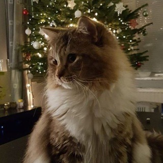 Логотип @itstimeforlove - ໒꒱мятный завтракꜝꜞ. ༣