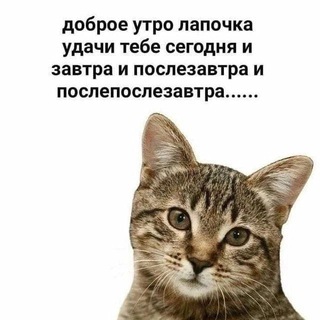 Логотип @itsyourreflectionn - твой чат