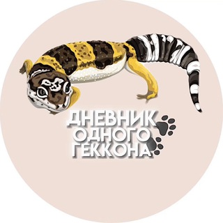 Логотип @itzdragons - Дневник одного геккона