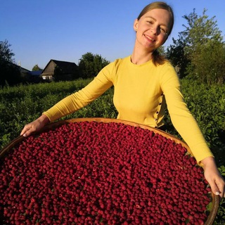 Логотип @ivan_1tea - Яна Иван-чай ❤️ @ivan.1tea