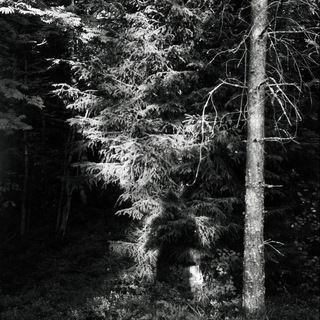 Логотип @ivanbelsky_filmphoto - IvanBelsky_filmphoto