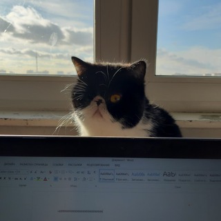 Логотип @ivanfdavydov - Ivan Davydov