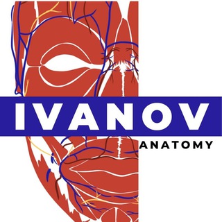 Логотип @ivanovanatomy - IvanovAnatomy💀Кадавер-курсы
