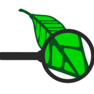 Логотип @ivanovanauka1 - Иванова Наука