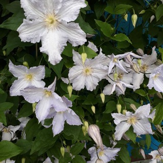 Логотип @ivanovapishet - IvanovaPishet