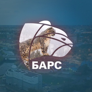 Логотип @ivanovonewsbars - IvanovoNEWS | Барс | Новости | Иваново