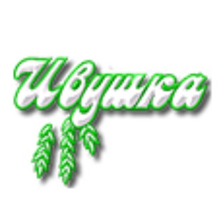 Логотип @ivushka_channel - Информационный канал НСТ "Ивушка",