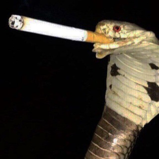 Логотип @iwanttochch - i want to chat