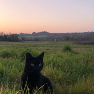 Логотип @iwouldnow_7777 - сейчас бы