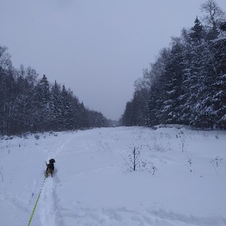 Логотип @izmorosbe - Їзморозь