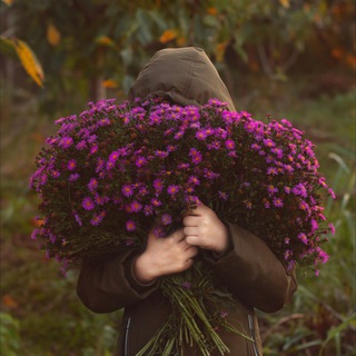 Логотип @izumrudnyysad - Изумрудный сад