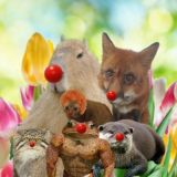 Логотип @jabcko_fludochat - Флудочат славянский