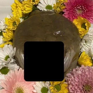 Логотип @jabomania - ЖАБОМАНИЯ